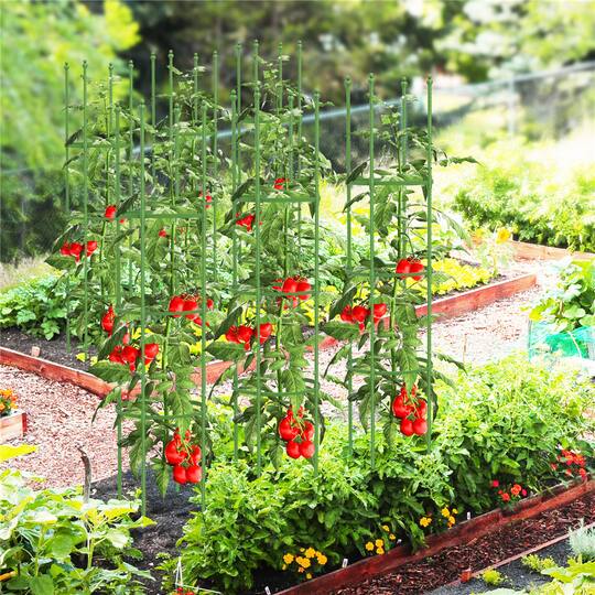 Costway 57" Adjustable Height Garden Trellis Plant Support & Tomato Cages, 2ct.